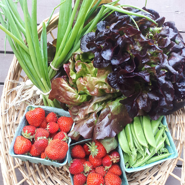 Fresh fruit and veggies from Last Frost Farm